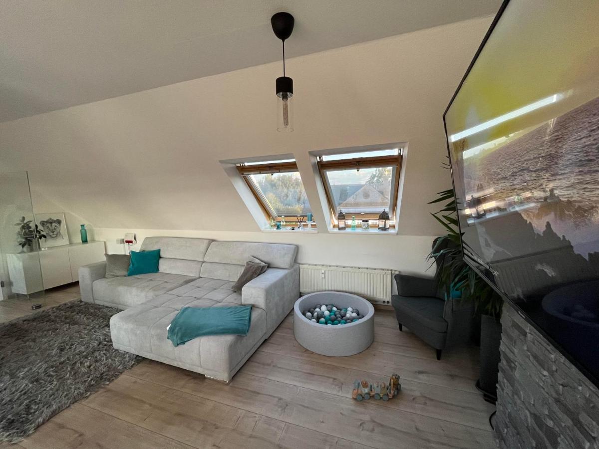105 Qm Neues Klimatisiertes Appartment Fuer Familien Privater Parkplatz Chemnitz Kültér fotó