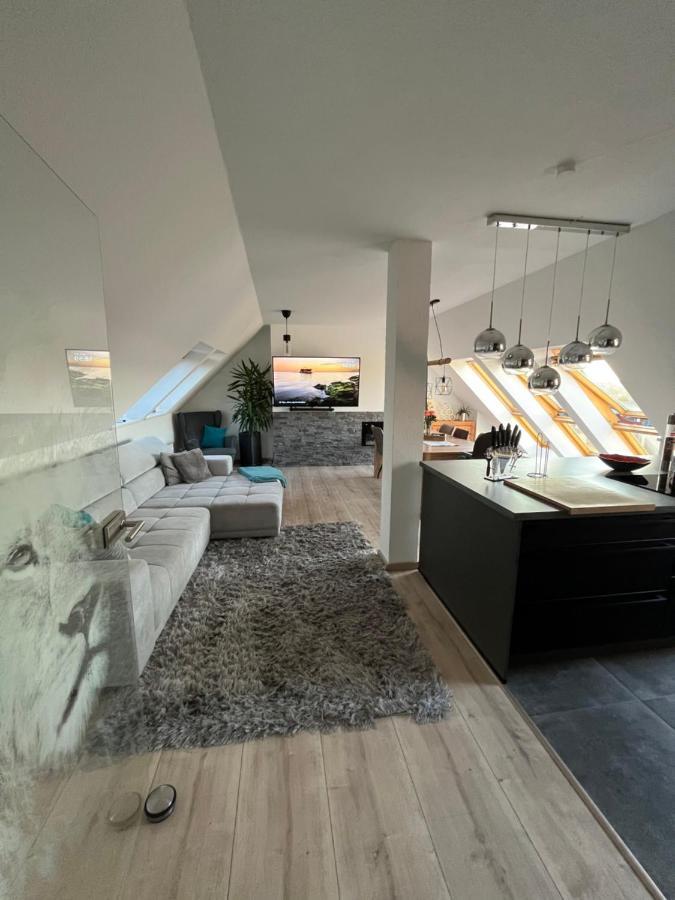 105 Qm Neues Klimatisiertes Appartment Fuer Familien Privater Parkplatz Chemnitz Kültér fotó