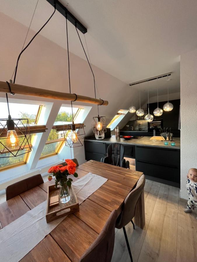 105 Qm Neues Klimatisiertes Appartment Fuer Familien Privater Parkplatz Chemnitz Kültér fotó