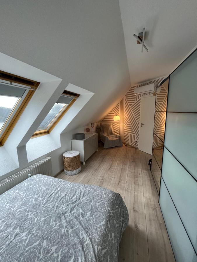 105 Qm Neues Klimatisiertes Appartment Fuer Familien Privater Parkplatz Chemnitz Kültér fotó